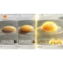 Thumbnail 5 of CP Chicken Egg No.0 10 pcs