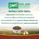 Thumbnail 5 of KANIVA Cat Food Grain Free Cat Food Indoor Formula 340 g