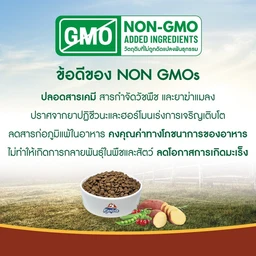 Thumbnail 5 of KANIVA Cat Food Grain Free Cat Food Indoor Formula 340 g