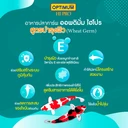 Thumbnail 3 of ออพติมั่ม ไฮโปร Wheat Germ อาหารปลาคาร์พ เม็ดใหญ่ ขนาด 15 กก.