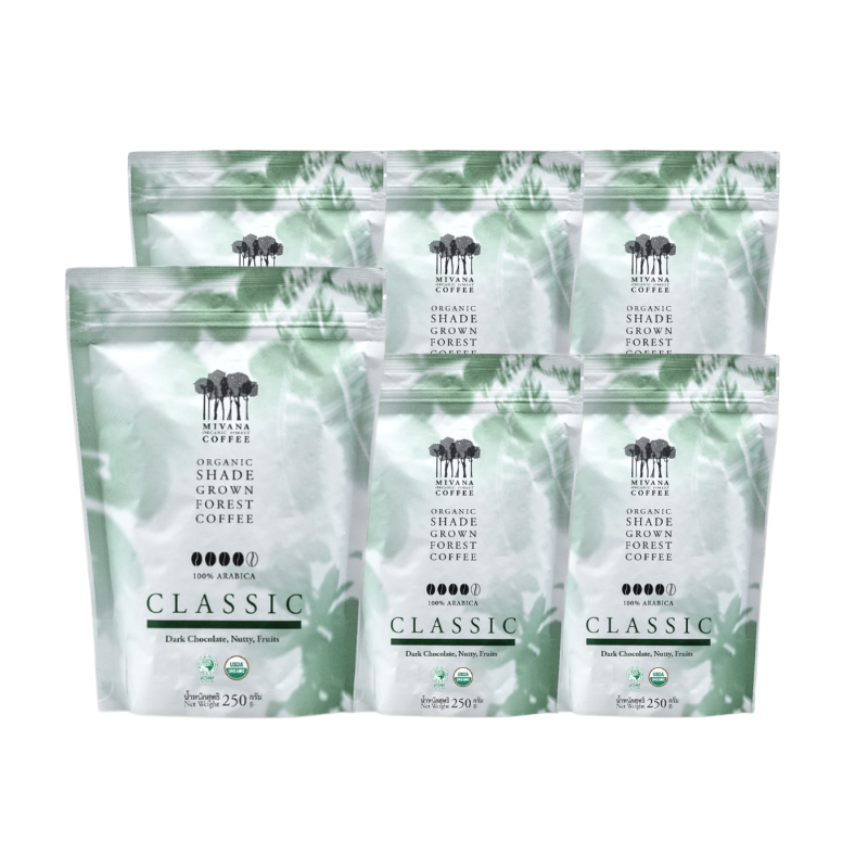 MIVANA ORGANIC ROASTED CLASSIC BEANS 250G. X6