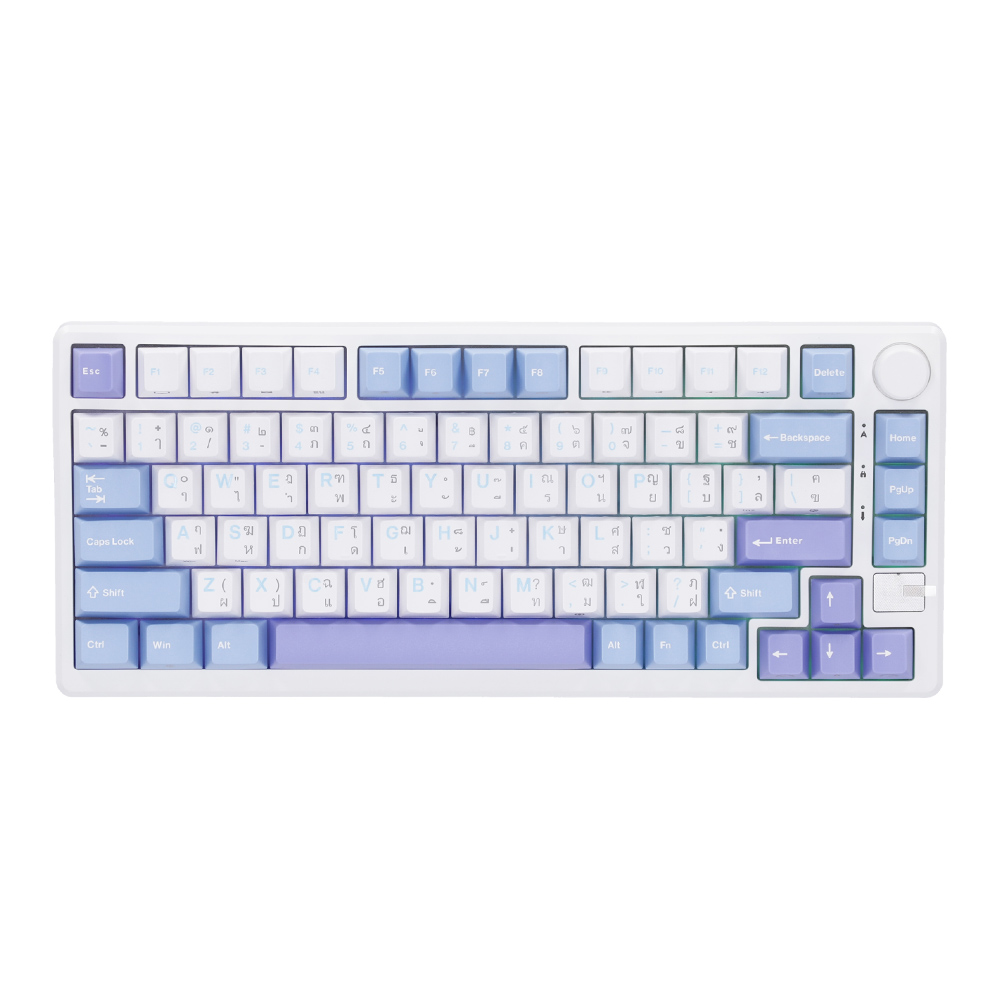 ROYAL KLUDGE WIRELESS KEYBOARD (คีย์บอร์ดไร้สาย) RKM75 SILVER SWITCH ...