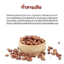 Thumbnail 2 of ฮิลล์คอฟฟ์ ถั่วลายเสือ รสชาติมีความมัน ค่อนข้างหวาน เนื้อกรอบแน่น เมล็ดมีขนาดใหญ่ 500 กรัม