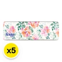 Thumbnail 2 of FESTA BESTA Facial Tissue 150 sheets x 5+1