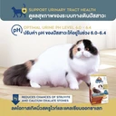 Thumbnail 2 of คานิว่า อาหารแมว สูตรดูแลสุขภาพของระบบทางเดินปัสสาวะ ขนาด 8 กก.