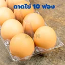 Thumbnail 2 of ถาดใส่ไข่ 10 ฟอง ถาดไข่พลาสติก 1 ลัง 400 ชิ้น