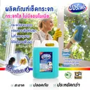 Thumbnail 3 of MERFECT GLASS CLEANER 5 L
เมอร์เฟค กลาส คลีนเนอร์ 5 ลิตร