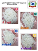 Thumbnail 3 of ห่านฟ้า ข้าวหอมมะลิสุรินทร์แท้คัดพิเศษปี 65/66 ขนาด 48 กก.