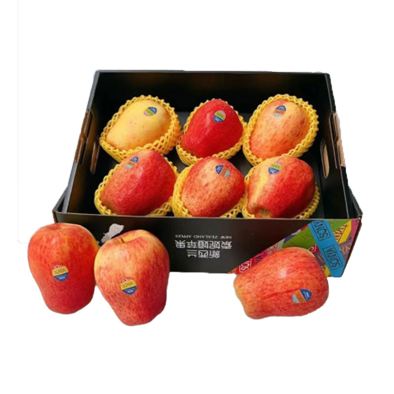 Sonya Apple no.90 Case