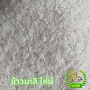 Thumbnail 2 of ตราสิงห์ ข้าวหอมมะลิ ฤดูกาล 2564-65 สุรินทร์ เกรดส่งออก ปลอดสาร 5 กก. แพ็ค 1 ถุง