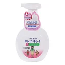 Thumbnail 1 of KIREI KIREI Foaming Hand Wash 250 ml