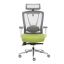 Thumbnail 1 of Ergotrend เก้าอี้เพื่อสุขภาพเออร์โกเทรน รุ่น ERGO-X GREEN