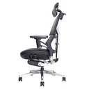 Thumbnail 3 of Ergotrend เก้าอี้เพื่อสุขภาพเออร์โกเทรน รุ่น Ultimate Malmo