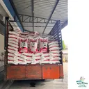 Thumbnail 3 of หมีแพนด้า ข้าวเหนียวใหม่ สันป่าตอง เชียงราย ขนาด 45 กก.