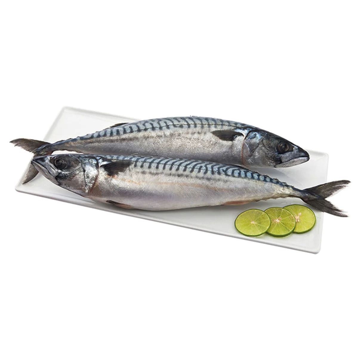 Frozen Norwegian Mackerel Size M 1 kg