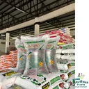 Thumbnail 5 of ประชา ข้าวเหนียวดำแท้100% คัดพิเศษ เต็มเมล็ด ดำเป็นเงา นุ่มเหนียว หอมอร่อย ขนาด 25 กก.