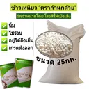 Thumbnail 1 of ข้าวเหนียวใหม่เขี้ยวงู ตราก้านกล้วย ชนิดเต็มเมล็ด เกรดส่งออก บรรจุ 25 กก.