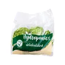 Thumbnail 4 of ผักสลัดบัตเตอร์เฮด ไฮโดรโปนิกส์ แพ็ค 500 ก.
