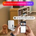 Thumbnail 4 of TRUE X Smart Pet Feeder