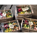 Thumbnail 2 of thefoodbox กล่องอาหารกระดาษ PB500 กล่องใส่อาหารไบโอ EcoFoodbox กล่องอีโค [50 ใบ]