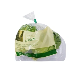 Thumbnail 2 of ROYAL PROJECT Baby Cos Lettuce