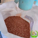 Thumbnail 5 of ตราสิงห์ ข้าวกล้องหอมมะลิแดง สุรินทร์ จมูกข้าวสมบูรณ์ ปลอดสาร 5 กก. แพ็ค 1 ถุง