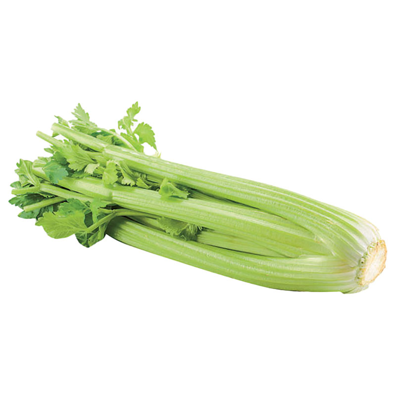 ROYAL PROJECT Celery