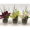 Thumbnail 3 of แจกันแก้วสี่เหลี่ยมขนาด 8x8cm. แก้วสี่เหลี่ยม แก้วใสทรงสี่เหลี่ยม MSQ-333