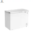 Thumbnail 1 of เวิล์ดเทค ตู้แช่ 2 ระบบ พร้อมตัวล็อค 299 ล. 10 คิว รุ่น WT-FZ300