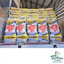 Thumbnail 5 of ช้างมงกุฎ ข้าวเหนียวใหม่ สันป่าตอง เชียงใหม่ ฤดูกาลใหม่เอี่ยม เหนียวนุ่ม หอมอร่อย ขนาด 45 กก. * พร้อมจัดส่งทันที