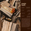 Thumbnail 3 of ลองหอม เจลอาบน้ำ กลิ่นโอเอซิส ลัช 480 มล. x 12 ขวด (ยกลัง)