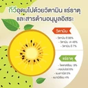 Thumbnail 4 of วิสทร้า ผลิตภัณฑ์เสริมอาหาร สารสกัดจากกีวี่ เอ็กซ์แทรกต์ 50 มก. พลัส แกรป ซีด เอ็กซ์แทรกต์ โค คิวเท็นและซิงค์ 30 แคปซูล