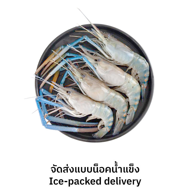 กุ้งก้ามกรามเล็ก (เป็น) กก.ละ