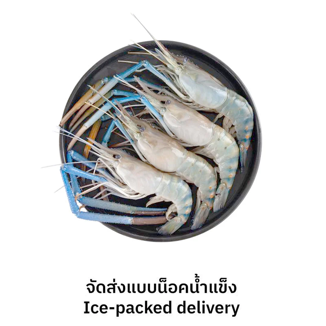 product-main-image