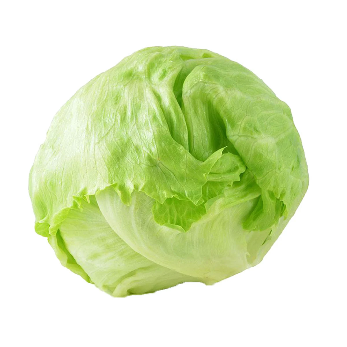 Import Iceberg Lettuce