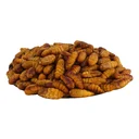 Thumbnail 4 of เทสตี้ไวลด์ หนอนไหมแช่แข็ง 1 กก.