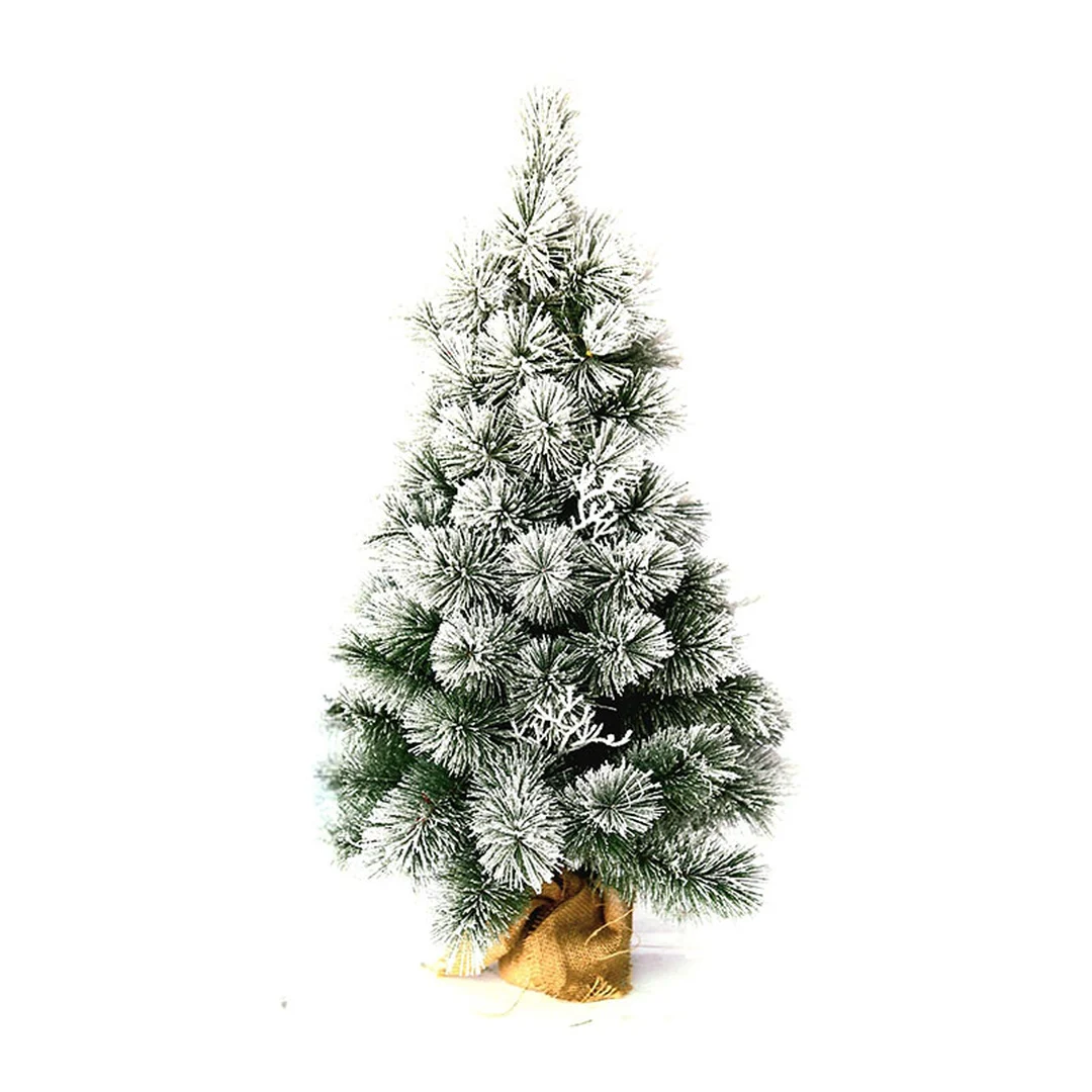 product-main-image