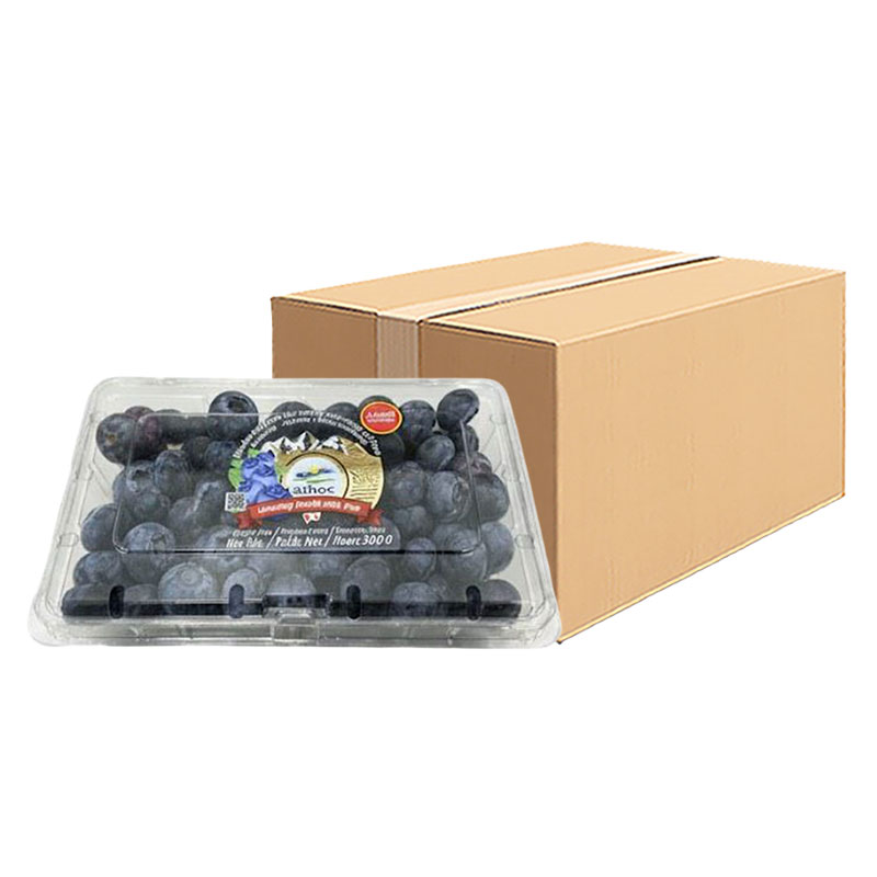 Blueberry Pack 300 g x 12