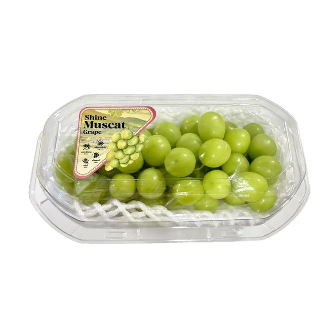 product-main-image