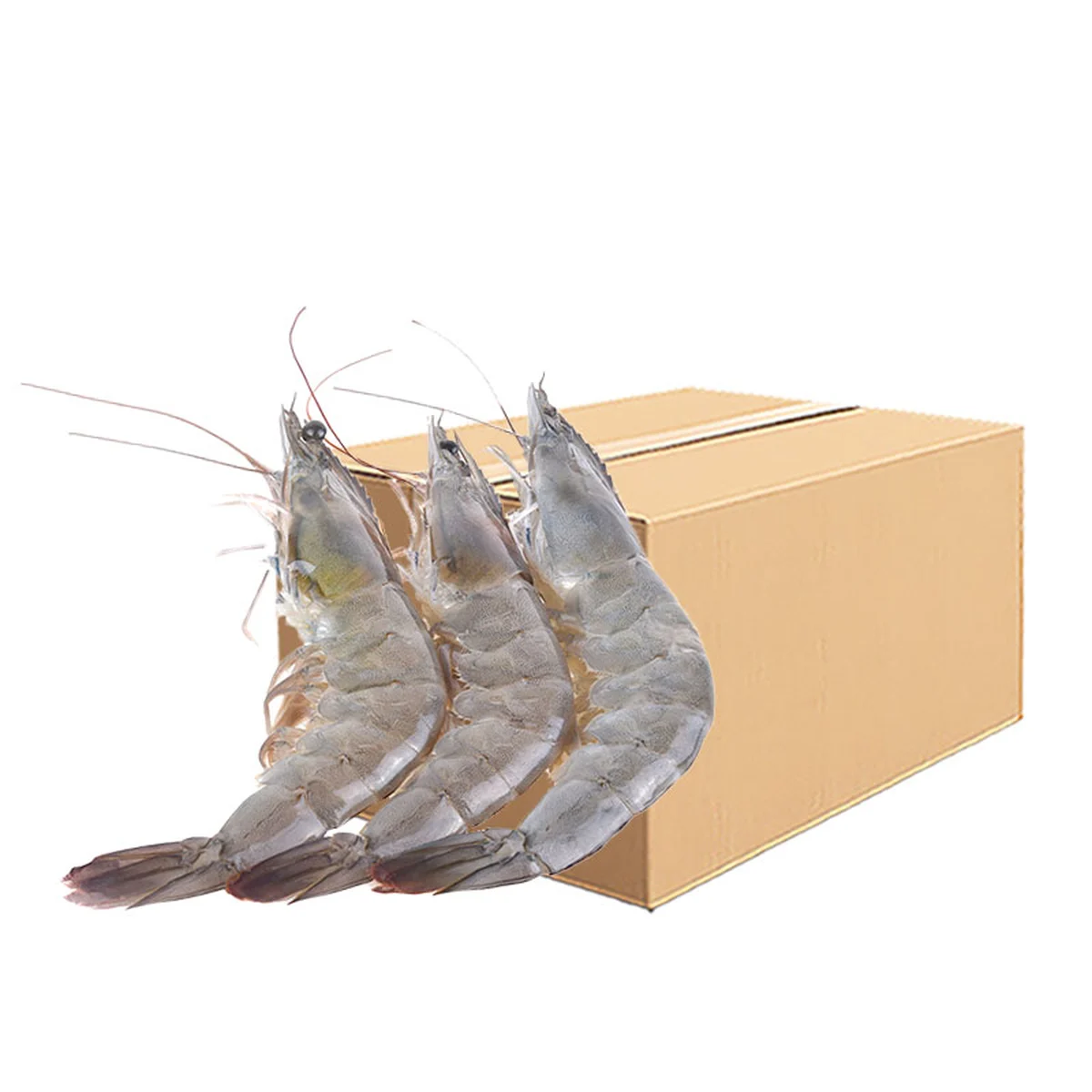 White Shrimp 10 kg (21-35 pcs/kg) 1 Carton