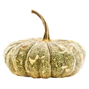 Thumbnail 1 of ฟักทองสังขยา 1 กก.