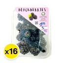 Thumbnail 2 of แบล็คเบอร์รี่ ยกลัง 170 ก. x 16