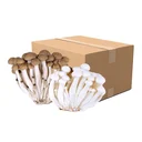 Thumbnail 1 of White & Brown Shimeji Mushroom 325 g x 24
