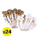 Thumbnail 2 of White & Brown Shimeji Mushroom 325 g x 24
