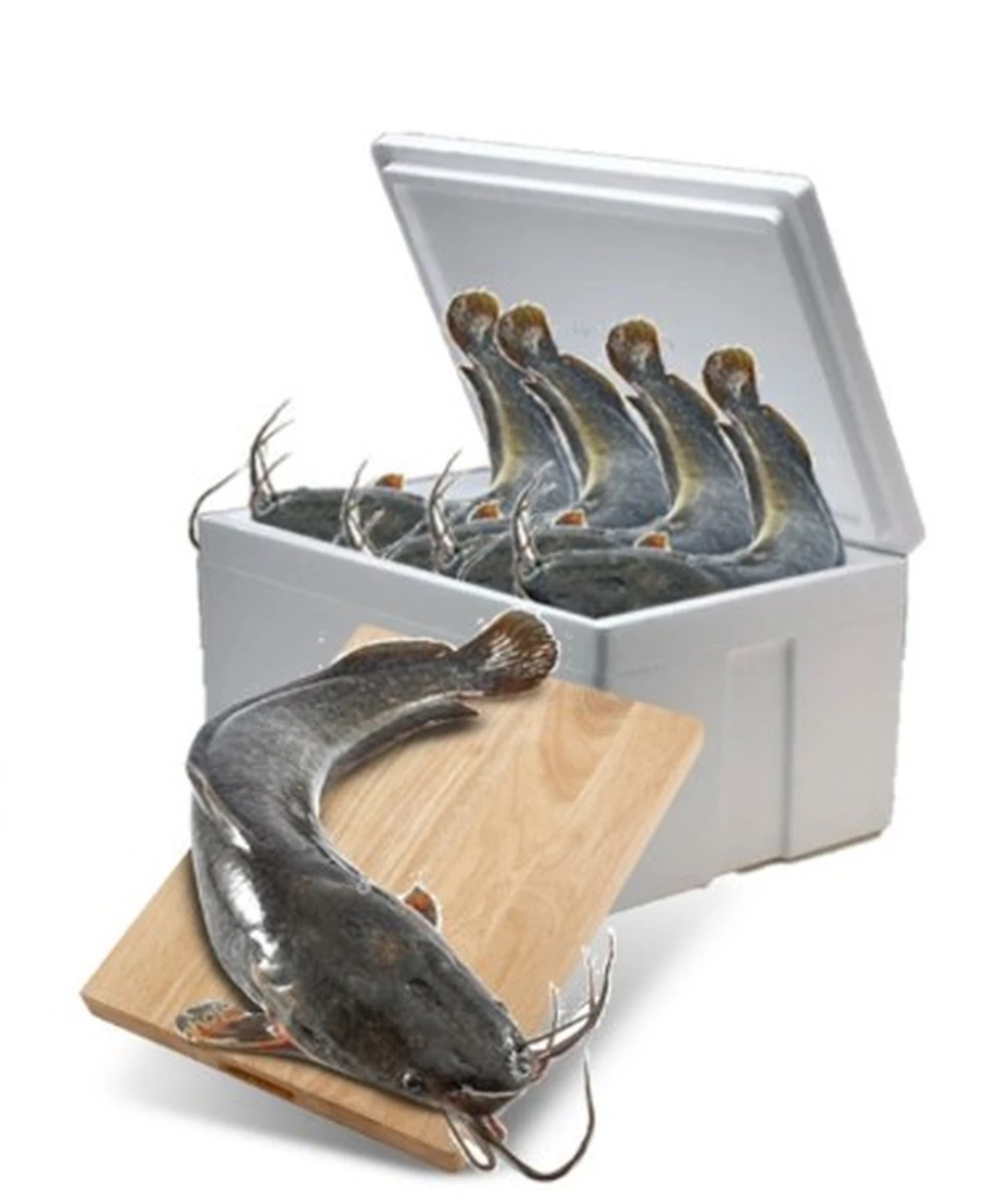product-main-image