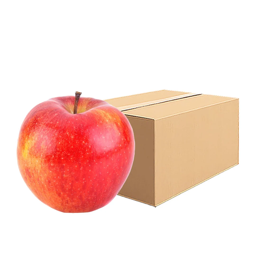 product-main-image