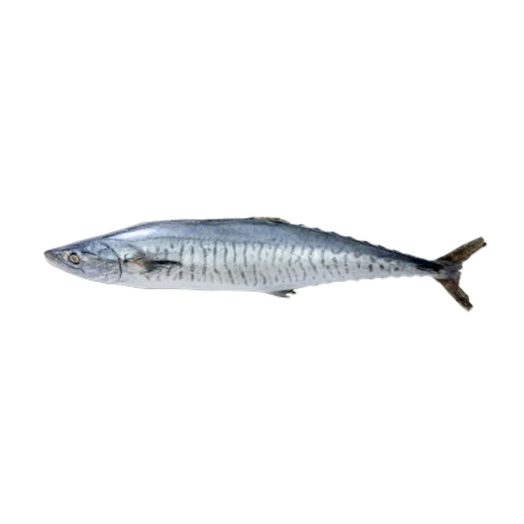 product-main-image
