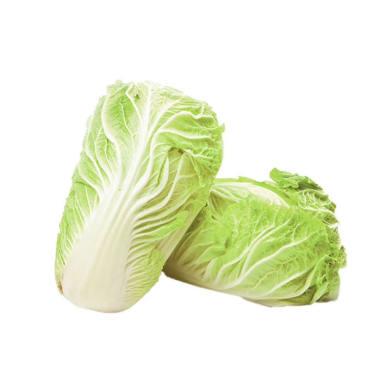ROYAL PROJECT Chinese Cabbage