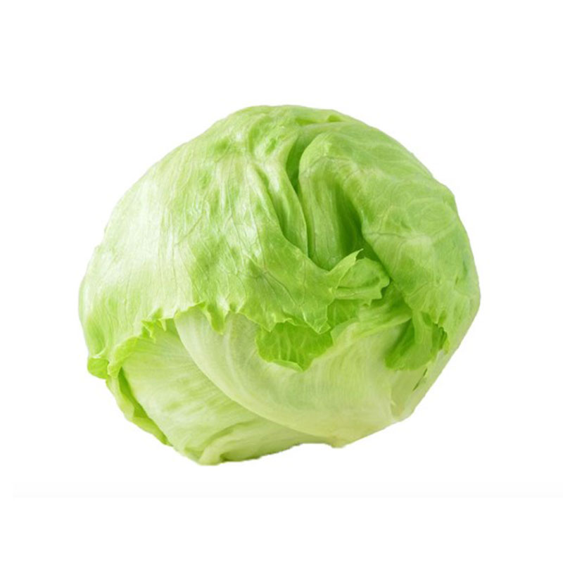 Iceberg Lettuce 1 kg