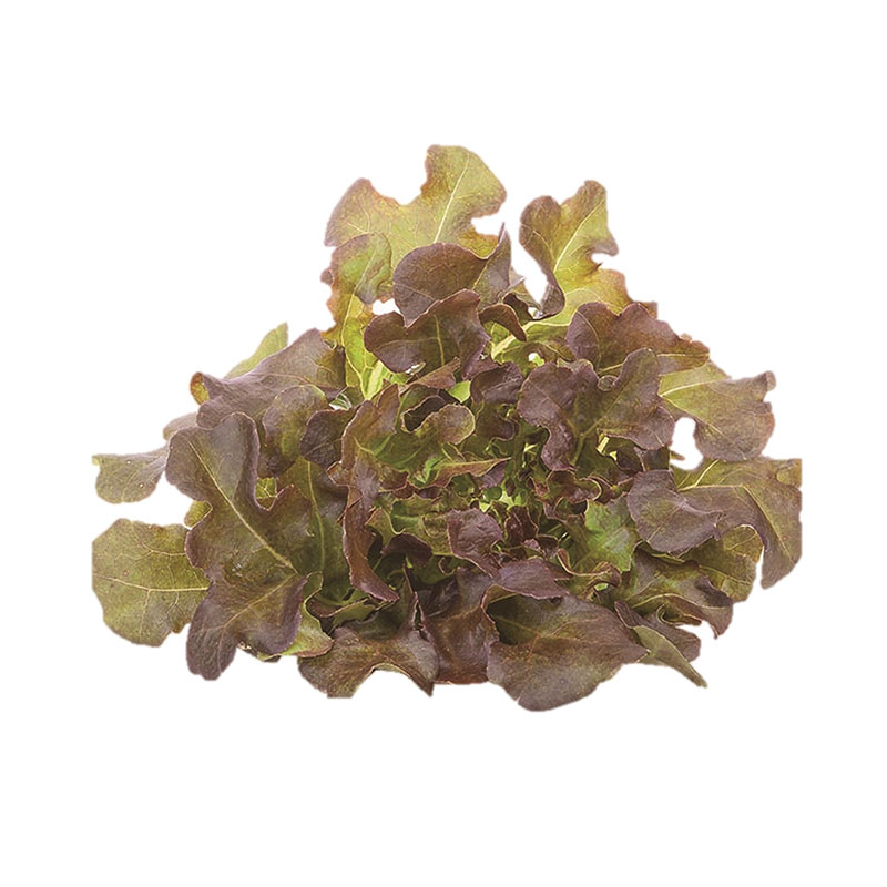 ROYAL PROJECT Red Oak Salad 200 g